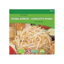 Kiemen Mung Bonen - Taugé - BIO