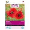 Klaproos Corn Poppy - Papaver Rhoeas -ESSCHER Winkel klaproos corn poppy papaver rhoeas 1646840341 657 600