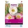 Klaproos Sherley - Papaver -ESSCHER Winkel klaproos sherley papaver 1646840341 655 600