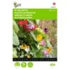 Klimplantenmengsel (diverse Soorten) -ESSCHER Winkel klimplantenmengsel diverse soorten 1646840333 479 600