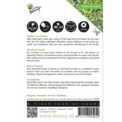 Klokken Van Ierland - Molucella Laevis -ESSCHER Winkel klokken van ierland molucella laevis 1646840330 412 600