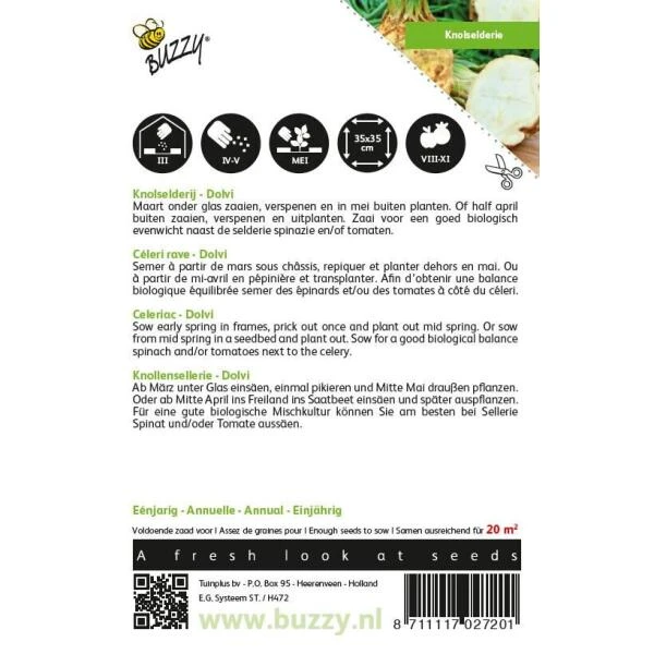 Knolselderie Dolvi - Apium Graveolens 4 Knolselderie Dolvi - Apium Graveolens - Afbeelding 2