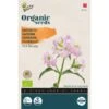 Koekruid Pink Beauty BIO - Saponaria Vaccaria -ESSCHER Winkel koekruid pink beauty bio saponaria vaccaria 1646840382 1500 600