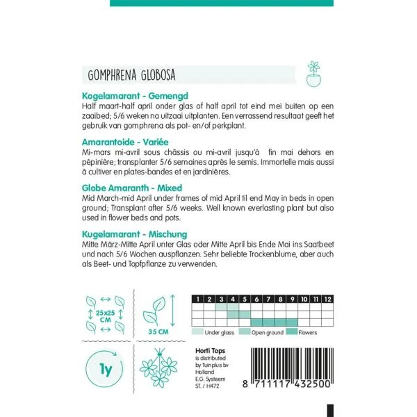 Kogelamarant - Gomphrena Globosa 4 Kogelamarant - Gomphrena Globosa - Afbeelding 2