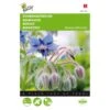 Komkommerkruid - Borago Officinalis 2 Komkommerkruid - Borago Officinalis -ESSCHER Winkel komkommerkruid borago officinalis 1646840313 35 600