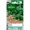 Koriander - Coriandrum Sativum -ESSCHER Winkel koriander coriandrum sativum 1646839518 61 600