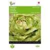 Kropsla Meikoningin - Lactuca Sativa 1 Kropsla Meikoningin - Lactuca Sativa -ESSCHER Winkel kropsla meikoningin lactuca sativa 1646840318 167 600