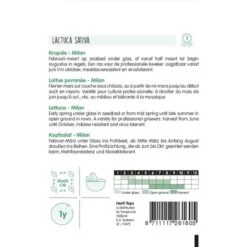 Kropsla Milan - Lactuca Sativa -ESSCHER Winkel kropsla milan lactuca sativa 1646840349 817 600
