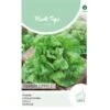 Kropsla Zomerkoning - Lactuca Sativa -ESSCHER Winkel kropsla zomerkoning lactuca sativa 1646840352 884 600