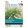 Lampenpoetsersgras - Pennisetum Alopecuroides -ESSCHER Winkel lampenpoetsersgras pennisetum alopecuroides 1646840391 1654 600