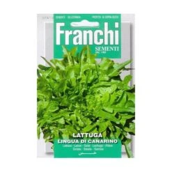 Lattuga Lingua Di Canarino - Kropsla Kleinbladig