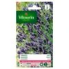 Lavendel Echte Lavandula Officinalis -ESSCHER Winkel lavendel echte lavandula officinalis 1646839534 152 600