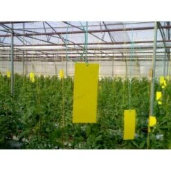 Lijmvangplaten - Set Van 5 Stuks -ESSCHER Winkel lijmvangplaten 1484052917 3 600