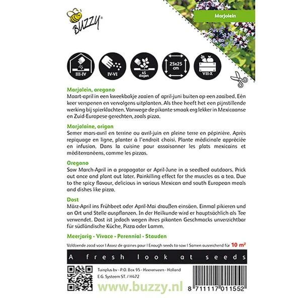 Marjolein Of Oregano - Origanum Vulgare 4 Marjolein Of Oregano - Origanum Vulgare - Afbeelding 2
