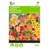 Maskerbloem Queens Price - Mimulus Luteus Tigrinus -ESSCHER Winkel maskerbloem queens price mimulus luteus tigrinus 1646840329 409 600