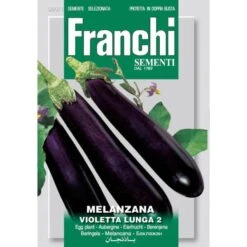 Melanzana Violetta Lunga 2 - Aubergine Langwerpig
