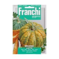 Melone Zatta - Honingmeloen