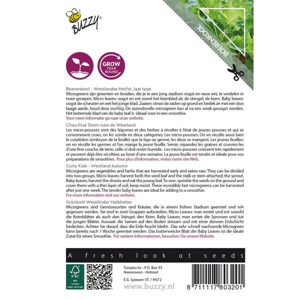 Microgreens Boerenkool Westlandse Herfst 4 Microgreens Boerenkool Westlandse Herfst - Afbeelding 2