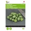Muismeloen, Cucamelon - Melothria Scabra -ESSCHER Winkel muismeloen cucamelon melothria scabra 1646840382 1514 600