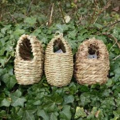 Nestbuidel Met Inkijkopening -ESSCHER Winkel nestbuidel met inkijkopening 1672666812 1 600