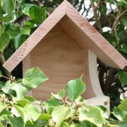 Nestkast Voor Merel En Lijster -ESSCHER Winkel nestkast merel en lijster 1672667575 1 600