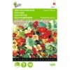 Oost-Indische Kers Jewel Of Africa - Tropaeolum Majus -ESSCHER Winkel oostindische kers jewel of africa tropaeolum majus 1646840323 263 600