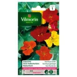 Oost-Indische Kers Tom-Pouce Gemengd