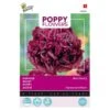 Papaver Black Paeony -ESSCHER Winkel papaver black paeony 1646840389 1612 600