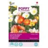 Papaver IJslandse (Poppies) -ESSCHER Winkel papaver ijslandse poppies 1646840318 169 600