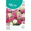 Papierbloem - Xeranthemum Annuum -ESSCHER Winkel papierbloem xeranthemum annuum 1646840350 826 600