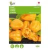 Peper Habanero Oranje -ESSCHER Winkel peper habanero oranje 1646840387 1568 600