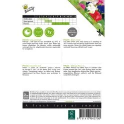 Petunia - Petunia Nana Compacta -ESSCHER Winkel petunia petunia nana compacta 1646840330 420 600