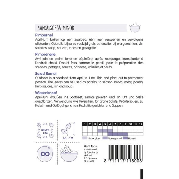 Pimpernel - Sanguisorba Minor 4 Pimpernel - Sanguisorba Minor - Afbeelding 2