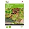 Pluksla Amerikaanse Roodrand - Lactuca Sativa -ESSCHER Winkel pluksla amerikaanse roodrand lactuca sativa 1646840314 57 600