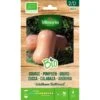 Pompoen Butternut BIO -ESSCHER Winkel pompoen butternut bio 1646839542 208 600