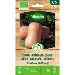 Pompoen Butternut BIO