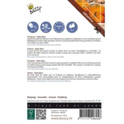 Pompoen Kalebas Baby Bear -ESSCHER Winkel pompoen kalebas baby bear 1646840338 590 600