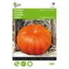 Pompoen Rode Van Etampes - Cucurbita Pepo -ESSCHER Winkel pompoen rode van etampes cucurbita pepo 1646840317 139 600