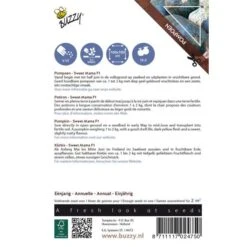 Pompoen Sweet Mama F1 -ESSCHER Winkel pompoen sweet mama f1 1646840391 1665 600