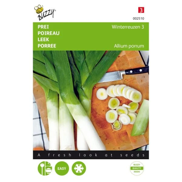 Prei Winterreuzen - Allium Porrum 3 Prei Winterreuzen - Allium Porrum