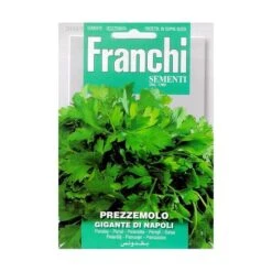Prezzemolo Gigante Di Napoli - Peterselie Grootbladig