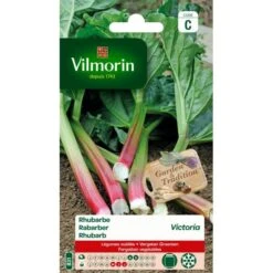 Rabarber Victoria