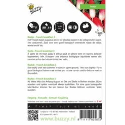 Radijs Halflange Rode Groot Witpunt - Raphanus Sativus -ESSCHER Winkel radijs halflange rode groot witpunt raphanus sativus 1646840318 160 600