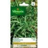 Raketsla (rucola) Wilde -ESSCHER Winkel raketsla rucola wilde 1646839530 127 600