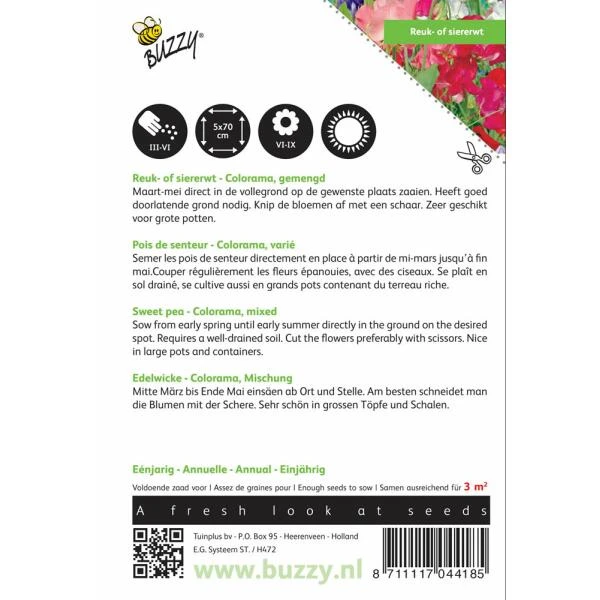 Reukerwt Colorama - Lathyrus Odoratus - Afbeelding 2