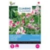 Reukerwt Unwins Striped - Lathyrus (Climbers) -ESSCHER Winkel reukerwt unwins striped lathyrus climbers 1646840341 649 600