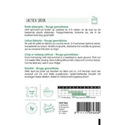 Rode Ijsbergsla, Rouge Grenobloise - Lactuca Sativa -ESSCHER Winkel rode ijsbergsla lactuca sativa 1646840355 939 600