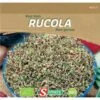 Rucola Spruiten - Kiemgroente BIO -ESSCHER Winkel rucola spruiten kiemgroente bio 1653900237 1 600
