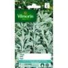 Salie - Salvia Officinalis 1 Salie - Salvia Officinalis -ESSCHER Winkel salie salvia officinalis 1646839519 63 600