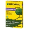 Barenbrug Shadow - Schaduw En Zon Graszaad 1 Kg -ESSCHER Winkel schaduw en zon 1 kg graszaad 1653991053 1 600